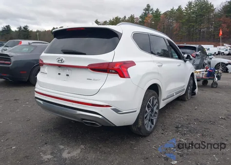 2023 Hyundai Santa Fe Calligraphy z USA, uszkodzony, nr VIN 5NMS5DAL9PH559809